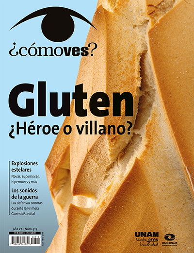 ¿Cómo ves? Revista de Divulgación de la Ciencia, año 27, núm. 315, febrero de 2025. Gluten ¿Héroe o villano?
