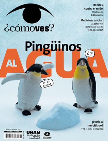 ¿Cómo ves? Revista de Divulgación de la Ciencia, año 27, núm. 319, junio de 2025. Pingüinos al agua
