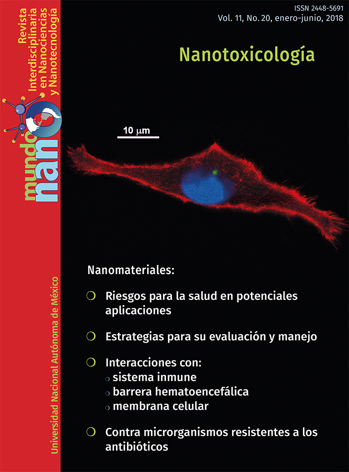 Mundo nano. Revista interdisciplinaria en nanociencias y nanotecnología, vol. 11, no. 20, enero-junio, 2018