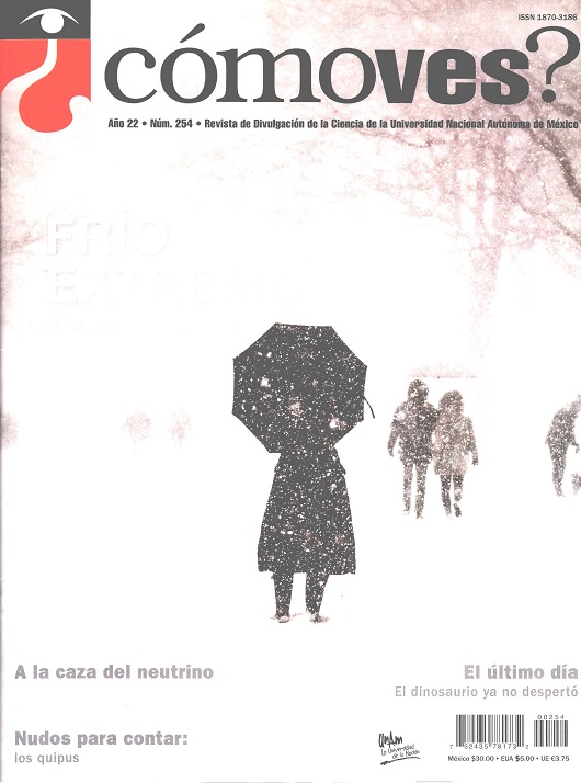 ¿Cómo ves? Frío extremo ¡más que en el polo norte!, año 22, núm. 254, enero 2020