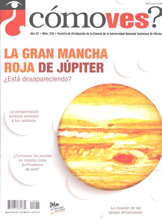 ¿Cómo ves? Revista de Divulgación de la Ciencia, año 22, núm. 255, febrero 2020 La gran mancha roja de Júpiter. ¿Está desapareciendo?