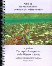 Guía de los pastos marinos tropicales del Atlántico oeste= A Guide to the Tropical Seagrasses of the Western Atlantic