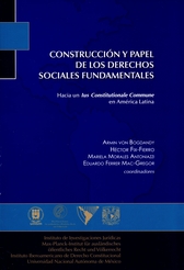 Construcción y papel de los derechos sociales fundamentales