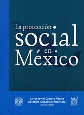 La protección social en México