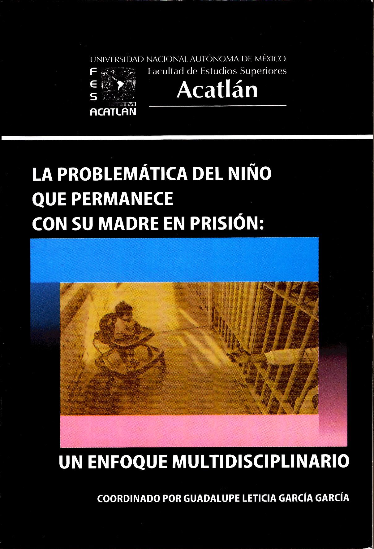 La problemática del niño que permanece con su madre en prisión: un enfoque multidisciplinario