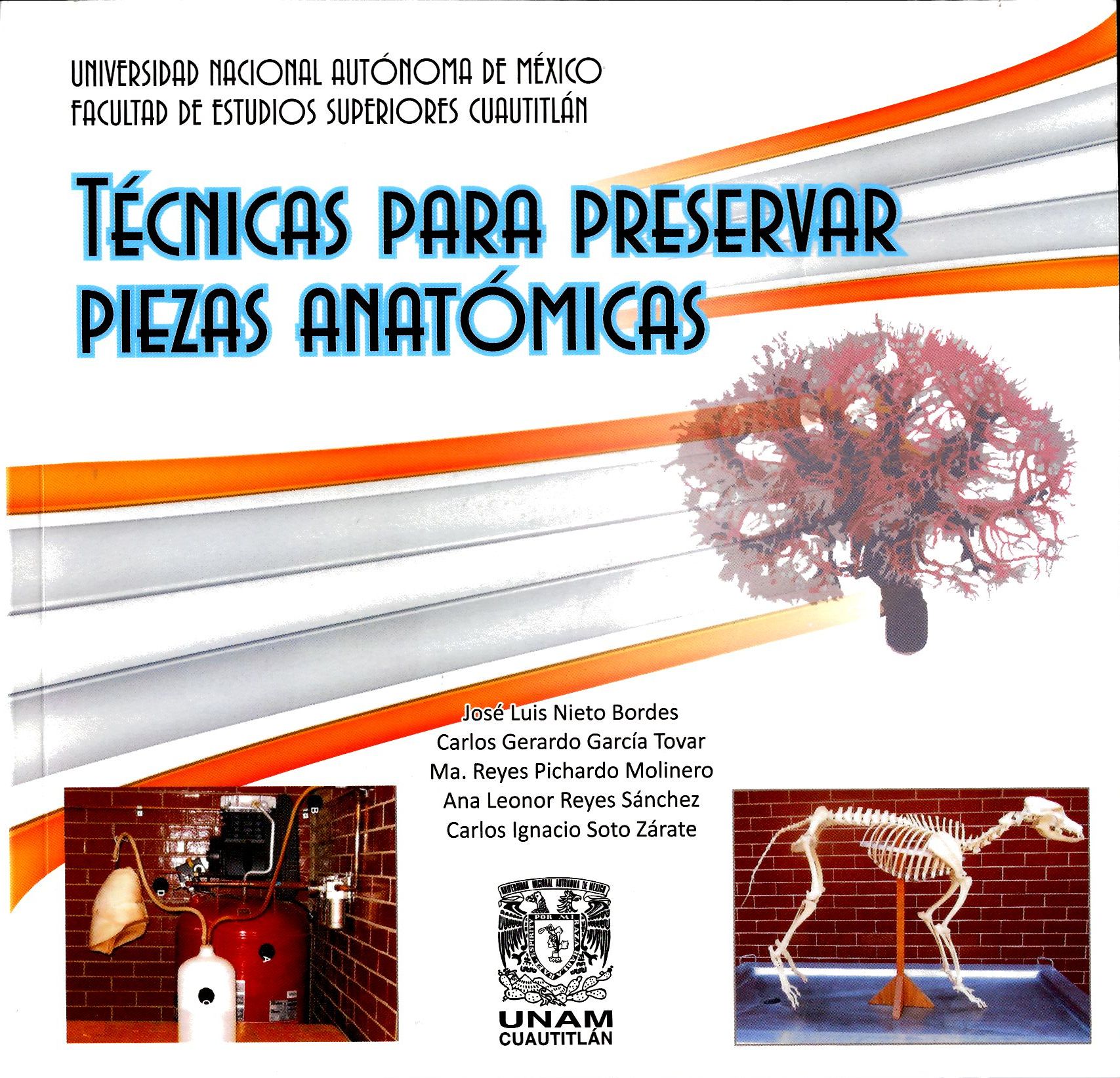 Técnicas para preservar piezas anatómicas