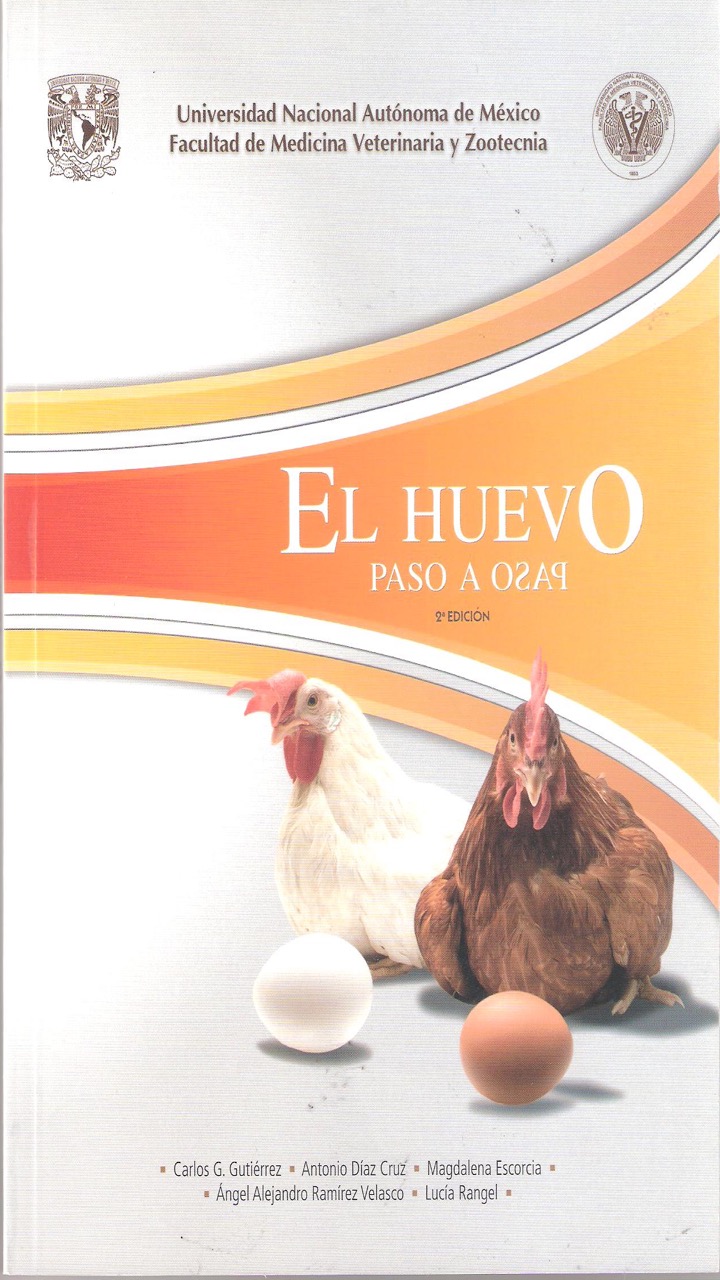 El huevo, paso a paso