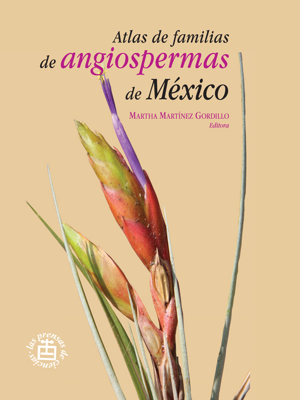 Atlas de familias de angiospermas de México