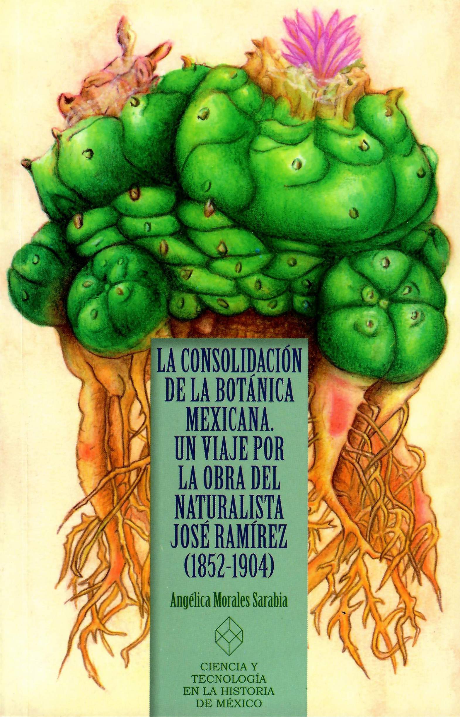 La consolidación de la botánica mexicana: un viaje por la obra del naturalista José Ramírez