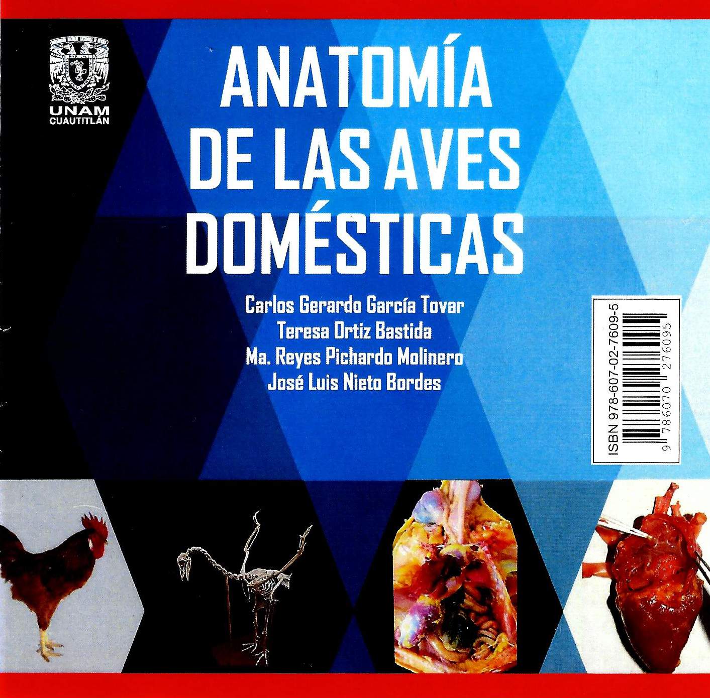 Anatomía de las aves domésticas