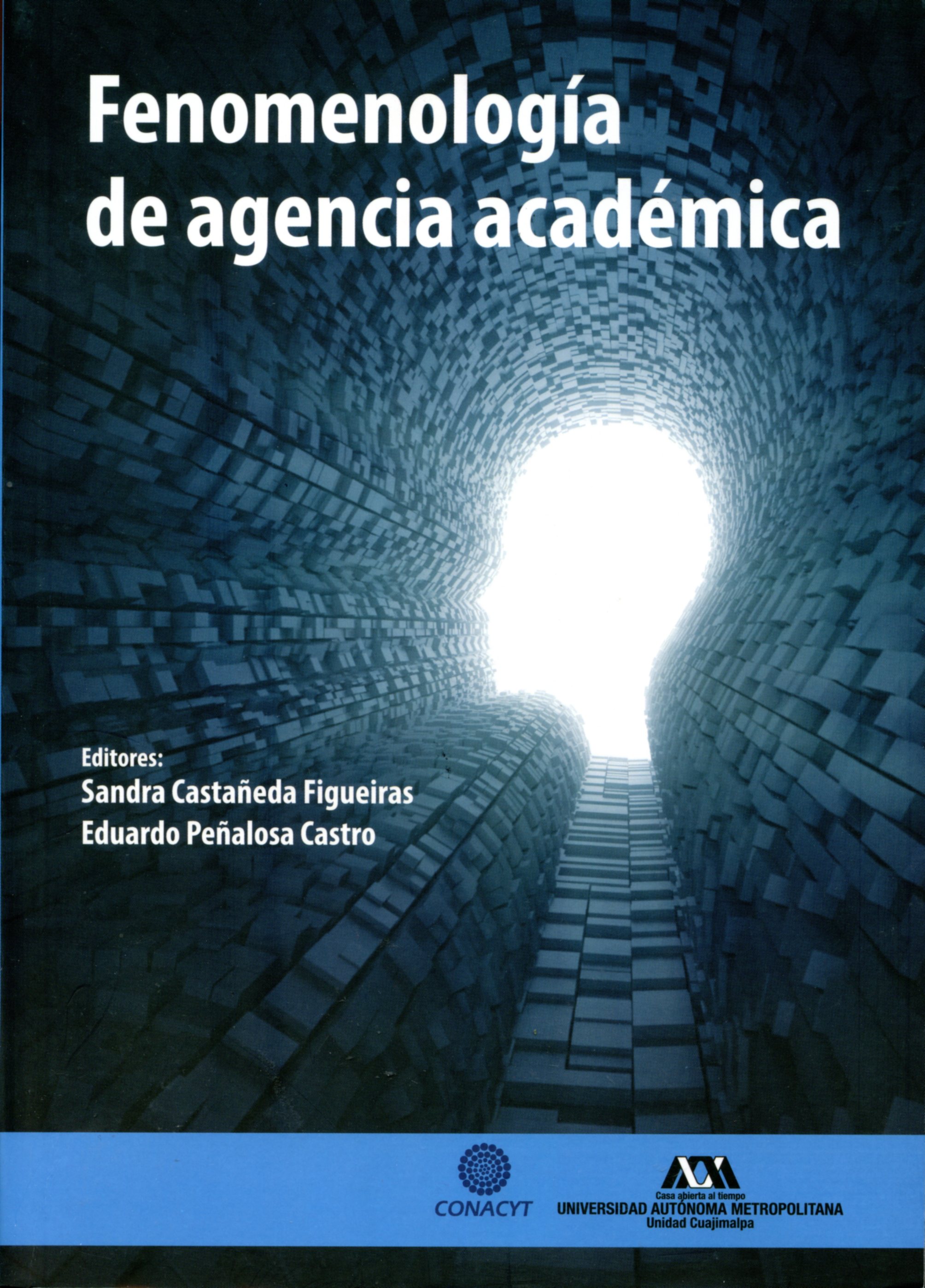 Fenomenología de agencia académica