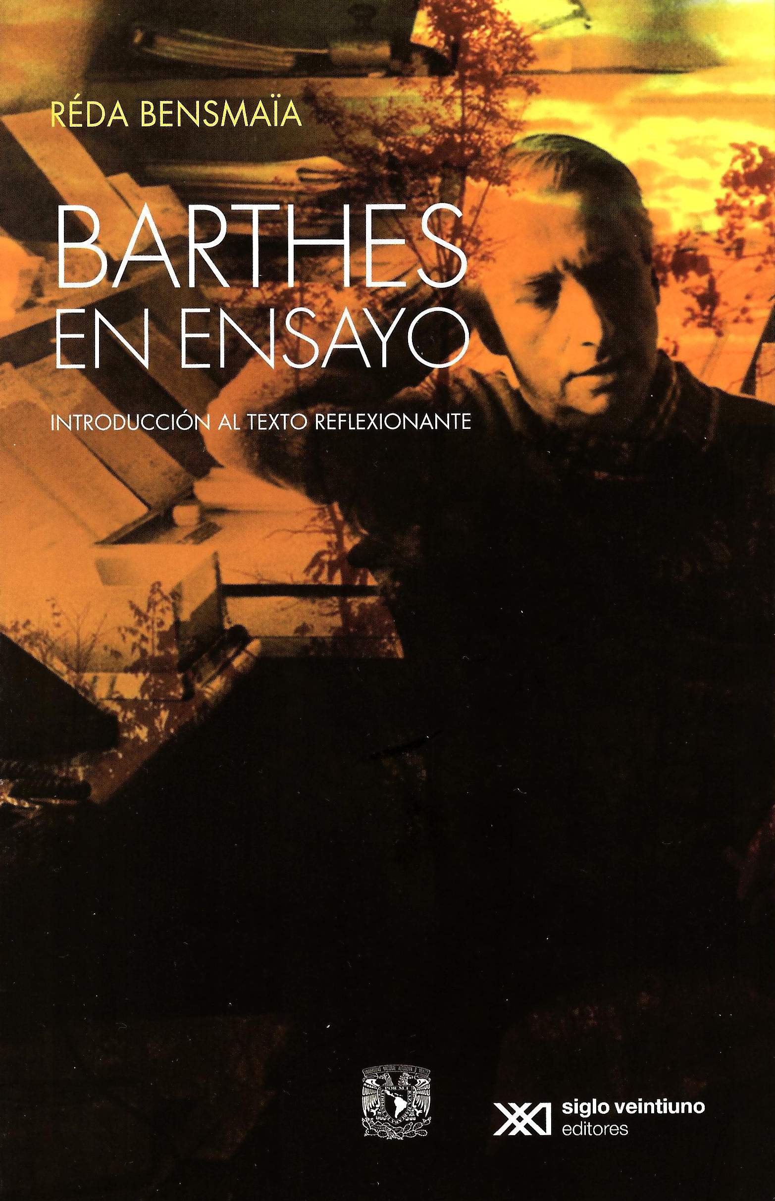 Barthes en ensayo: introducción al texto reflexionante