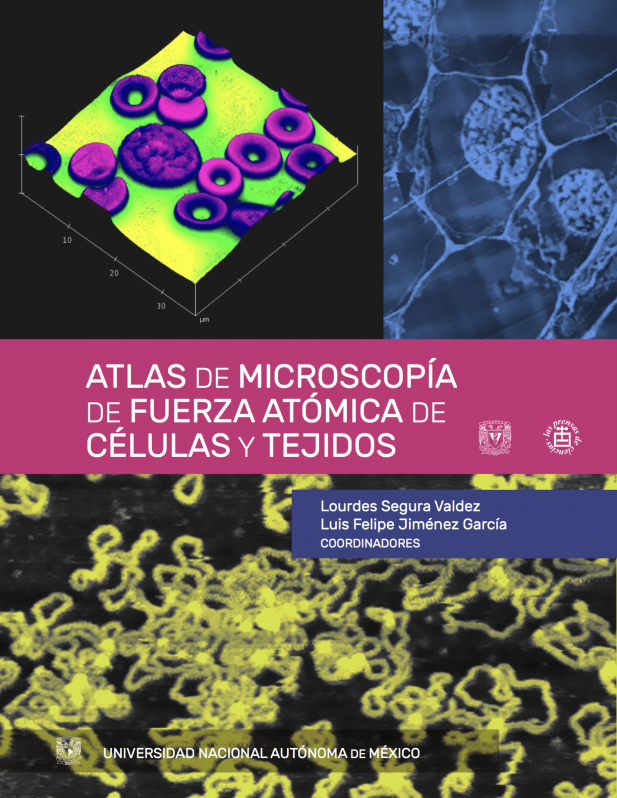 Atlas de microscopía de fuerza atómica de células y tejidos