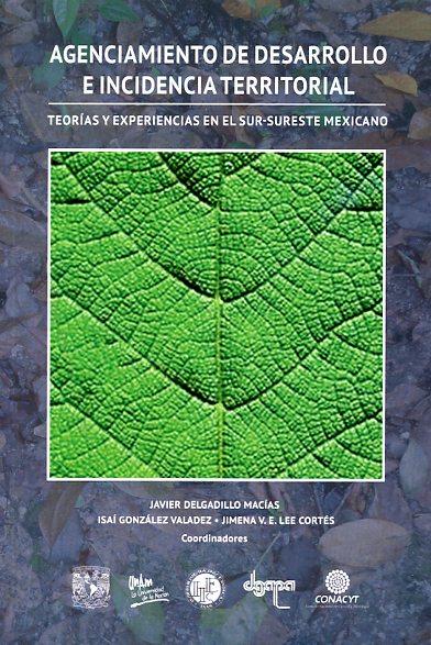 Agenciamiento de desarrollo e incidencia territorial: teorías y experiencias en el sur-sureste mexicano