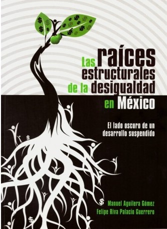 Las raíces estructurales de la desigualdad en México El lado oscuro de un desarrollo suspendido