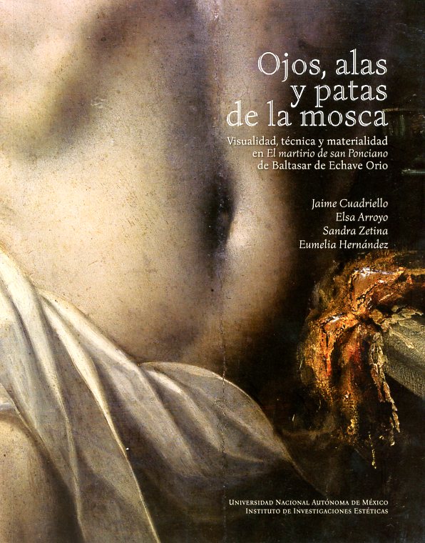 Ojos, alas y patas de la mosca. Visualidad, tecnología y materialidad de El martirio de san Ponciano de Baltasar de Echave Orio