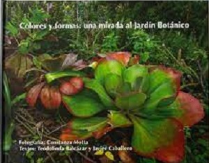 Colores y formas: una mirada al Jardín Botánico