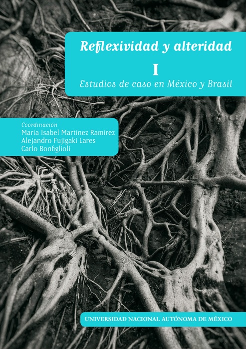 Reflexividad y alteridad I Estudios de caso en México y Brasil