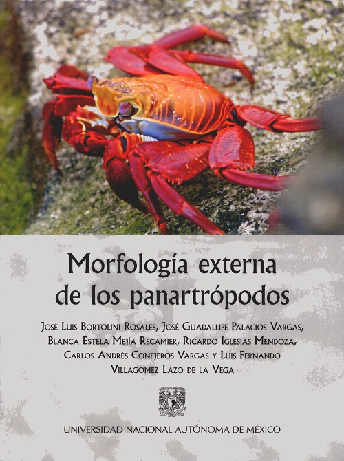 Morfología externa de los panartrópodos