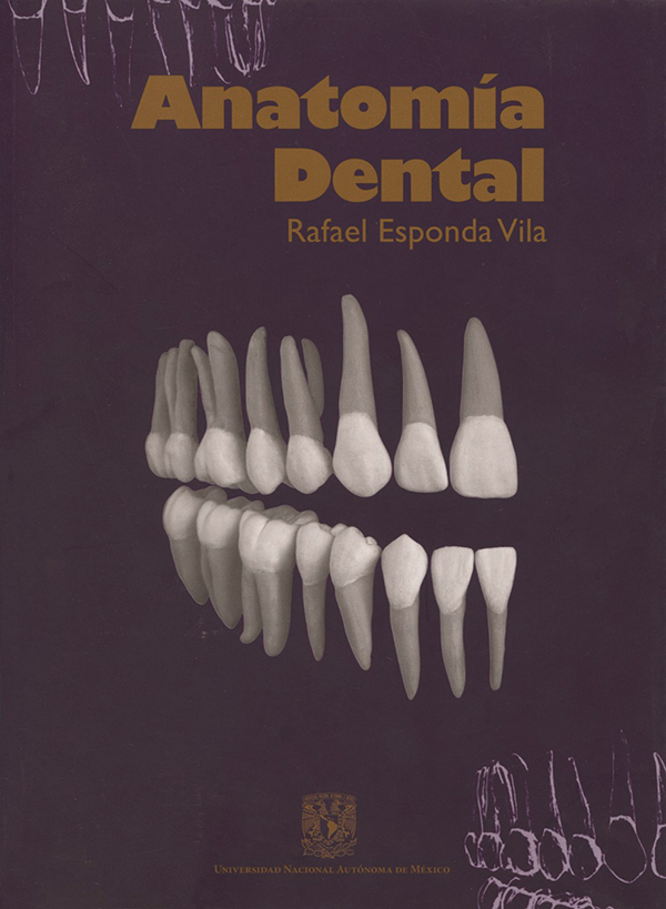 Anatomía dental