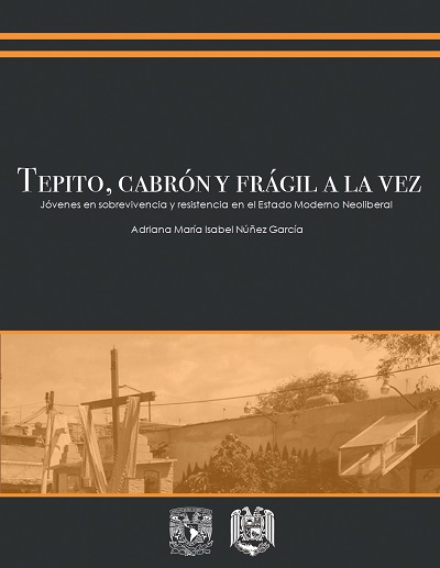 Tepito cabrón y frágil a la vez. Jóvenes en sobrevivencia y resistencia en el estado moderno neoliberal