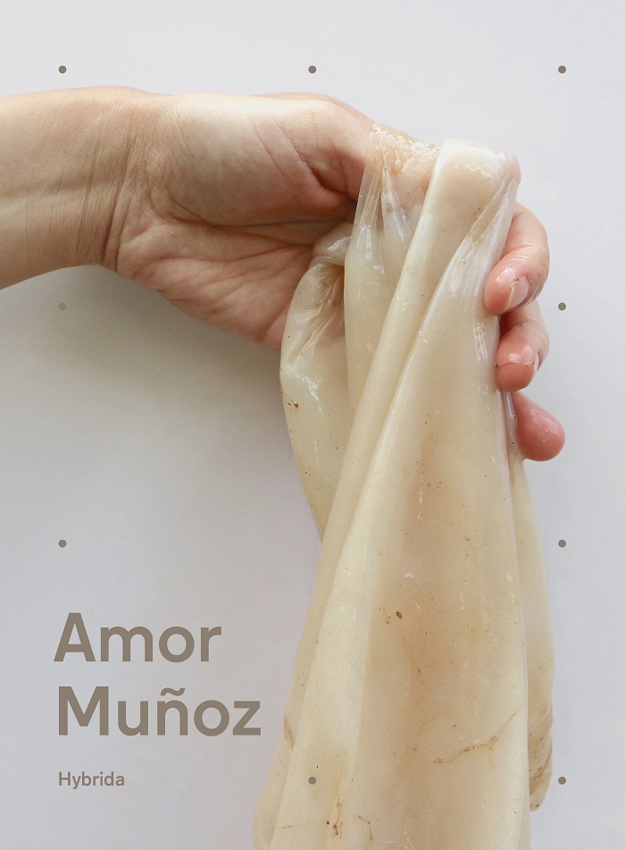 Amor Muñoz. Hybrida