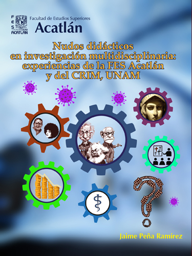 Nudos didácticos en investigación multidisciplinaria: experiencias de la FES Acatlán y del CRIM, UNAM