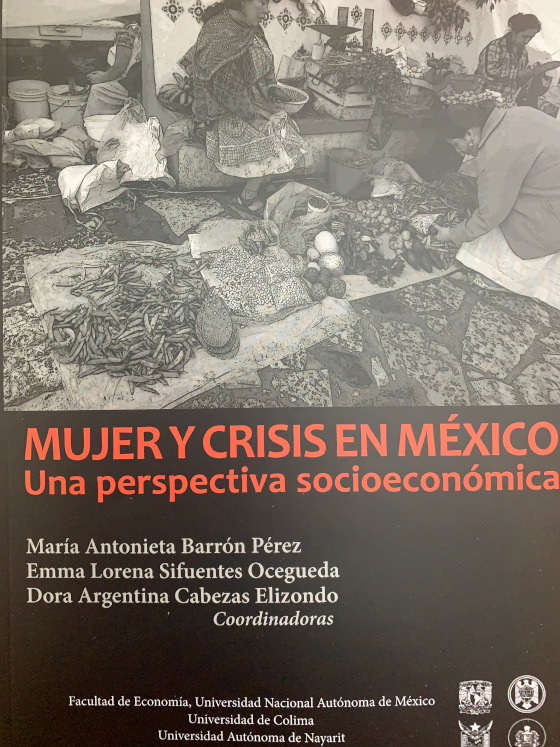 Mujer y crisis en México. Una perspectiva socieconómica