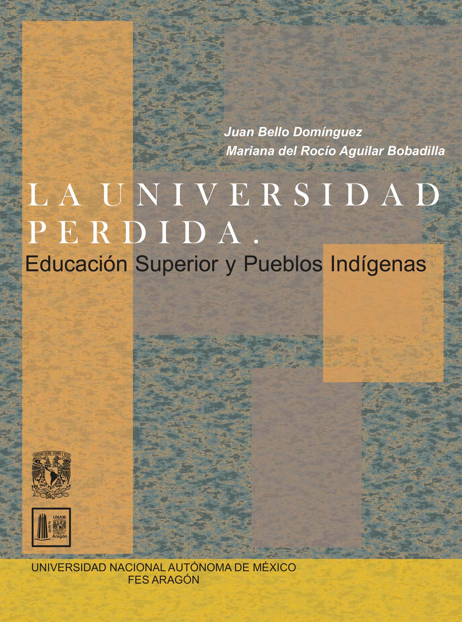 La universidad perdida. Educación superior y pueblos indígenas