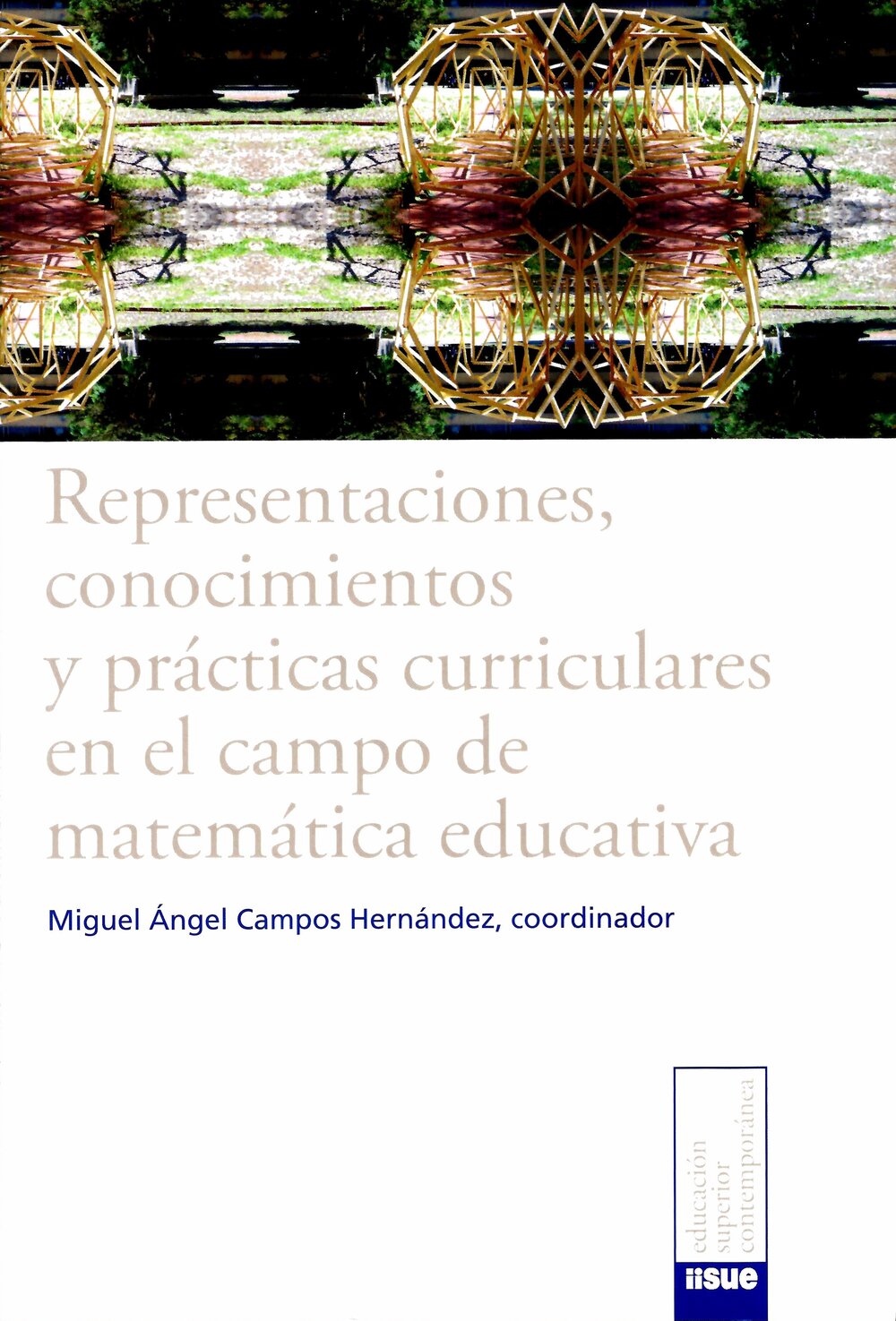 Representaciones, conocimientos y prácticas curriculares en el campo de la matemática educativa