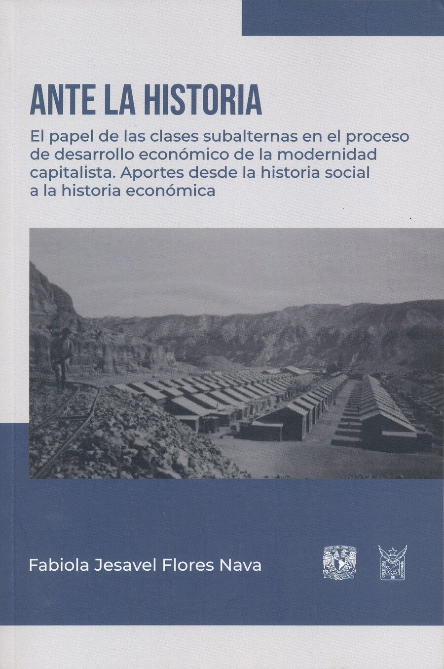 Ante la historia. El papel de las clases subalternas en el proceso de desarrollo económico de la modernidad capitalista. Aportes desde la historia social a la historia económica