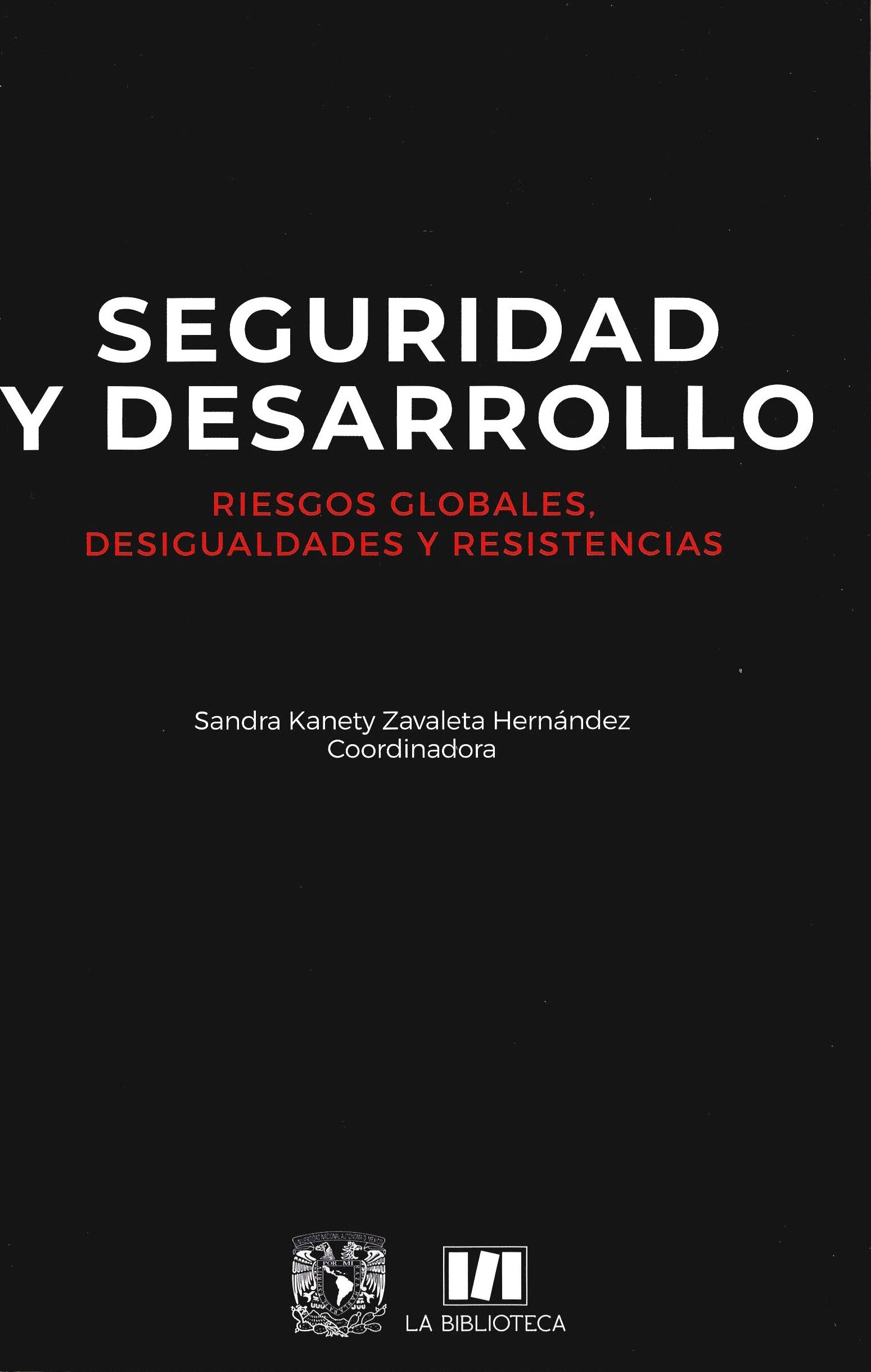 Seguridad y desarrollo. Riesgos globales, desigualdades y resistencias