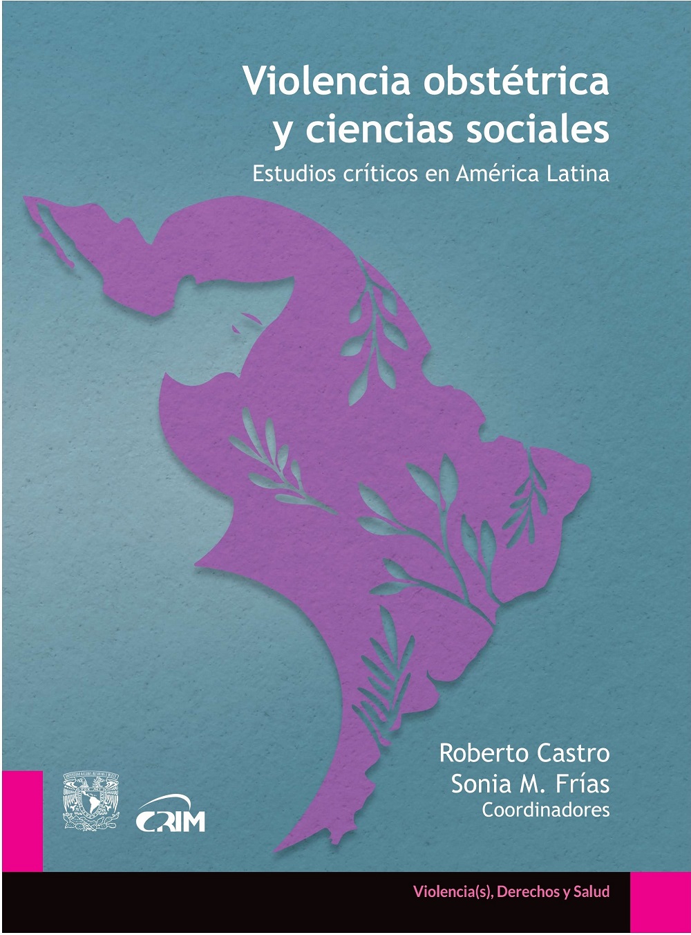 Violencia obstétrica y ciencias sociales: estudios críticos en América Latina