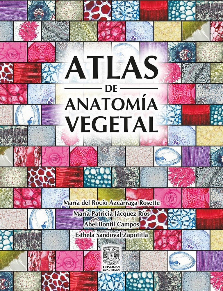 Atlas de anatomía vegetal