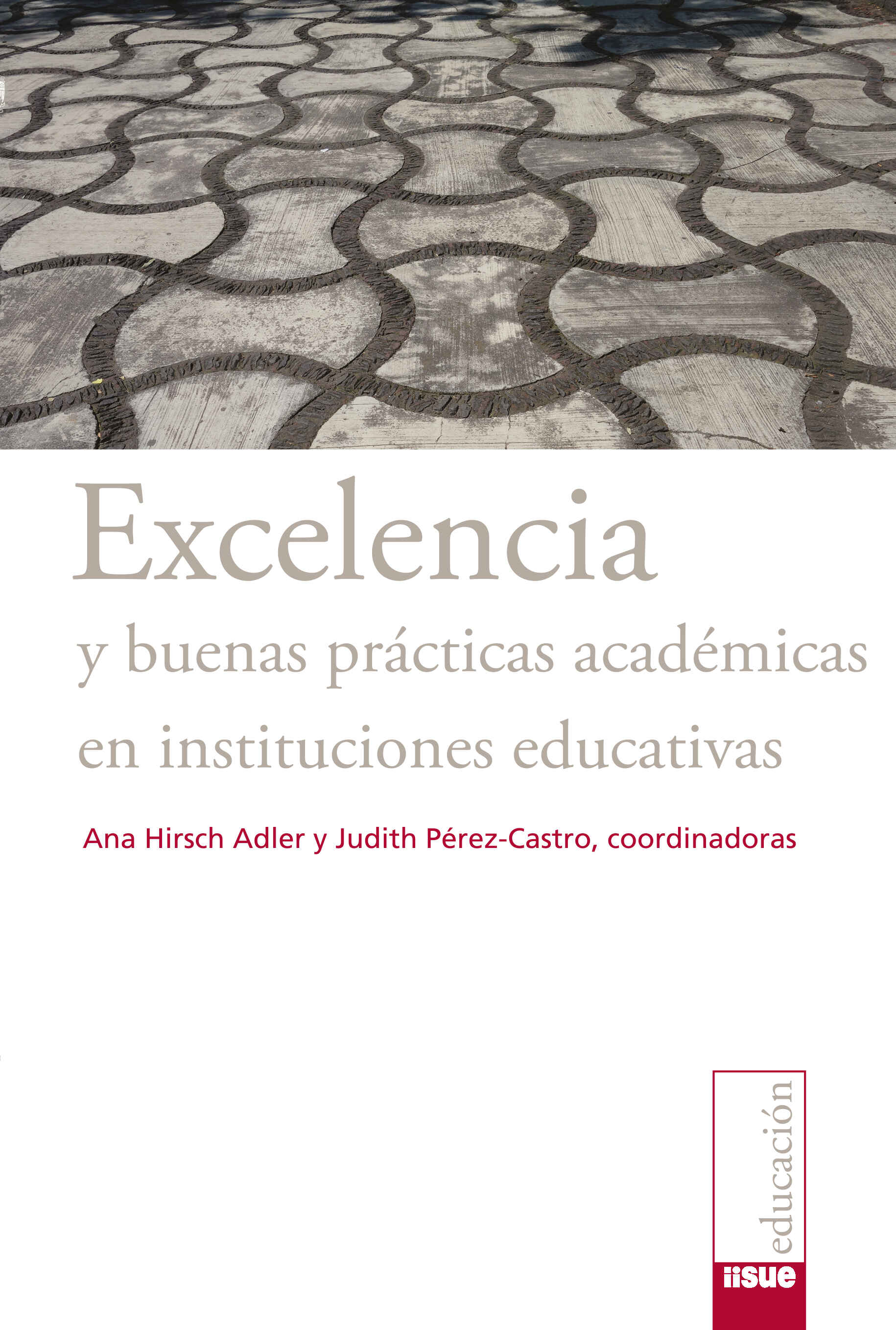 Excelencia y buenas prácticas académicas en instituciones educativas