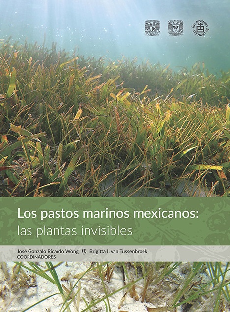 Los pastos marinos mexicanos: las plantas invisibles