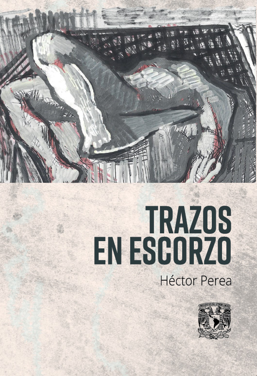 Trazos en escorzo