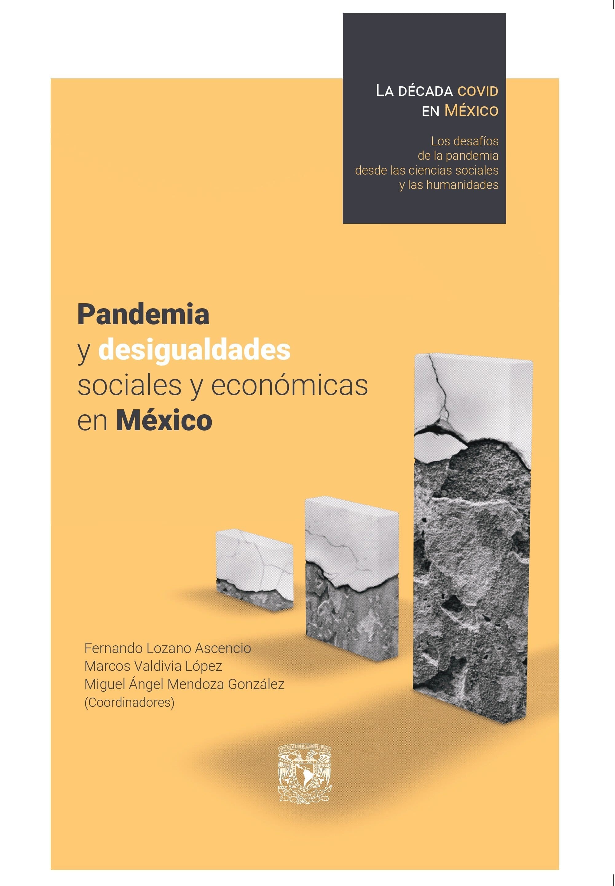 Pandemia y desigualdades sociales y económicas en México