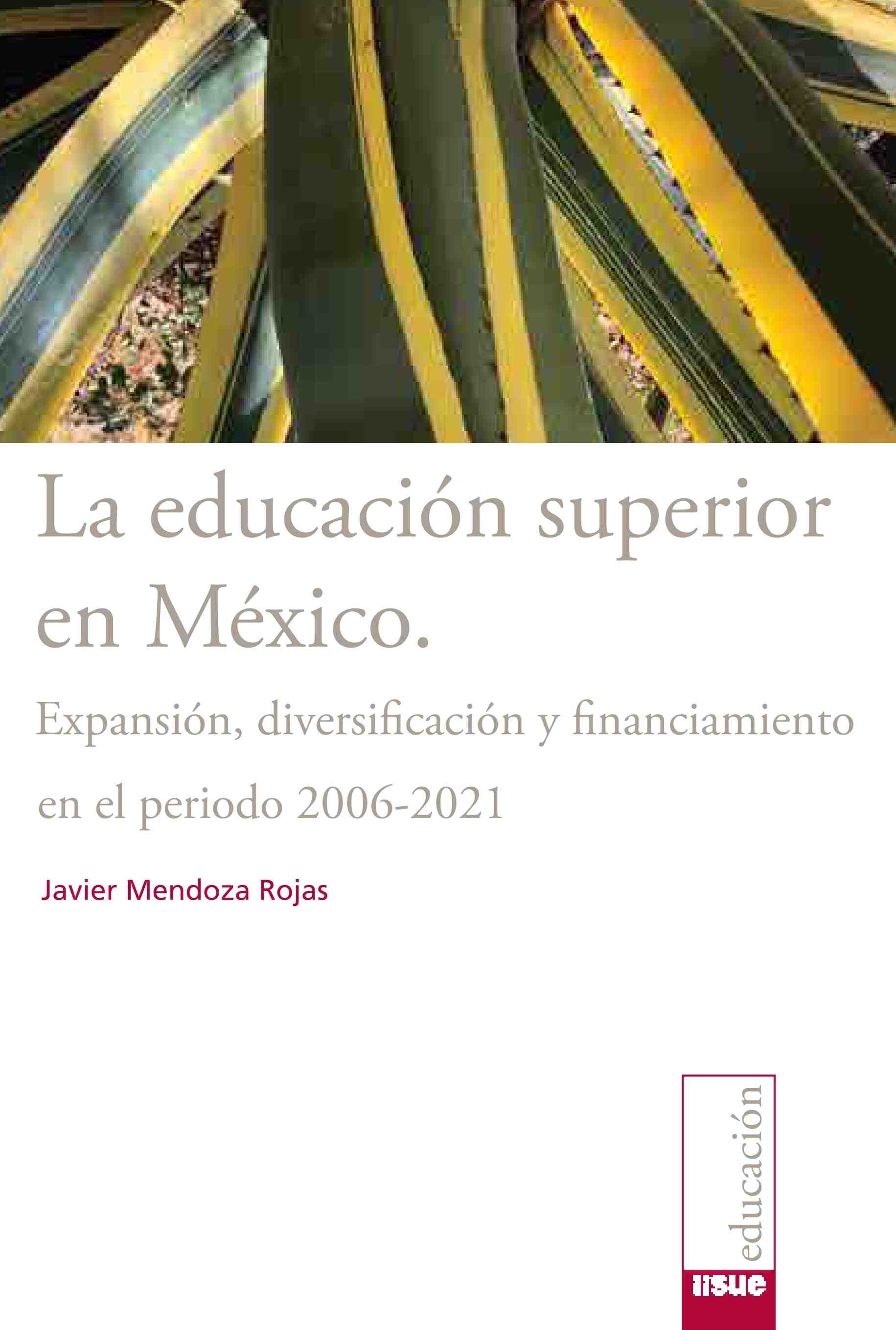 La educación superior en México. Expansión, diversificación y financiamiento en el período 2006-2021