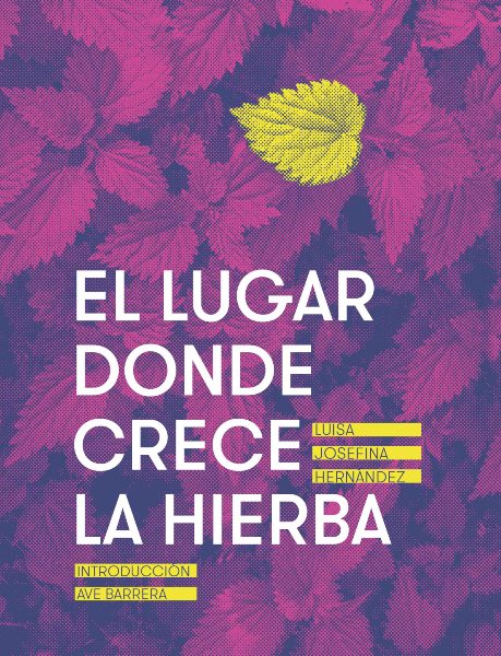 El lugar donde crece la hierba