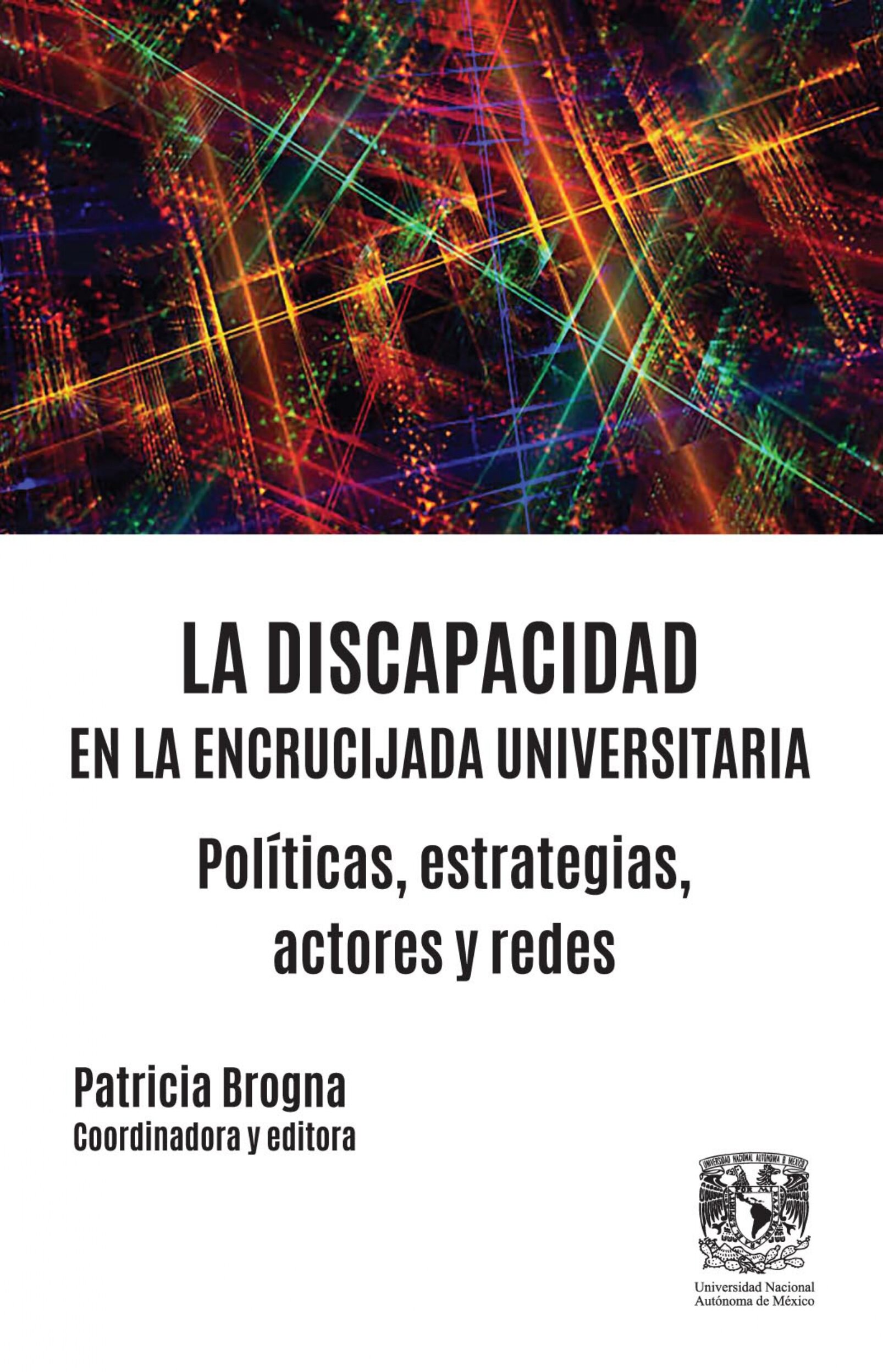 La discapacidad en la encrucijada universitaria. Políticas, estrategias,actores y redes