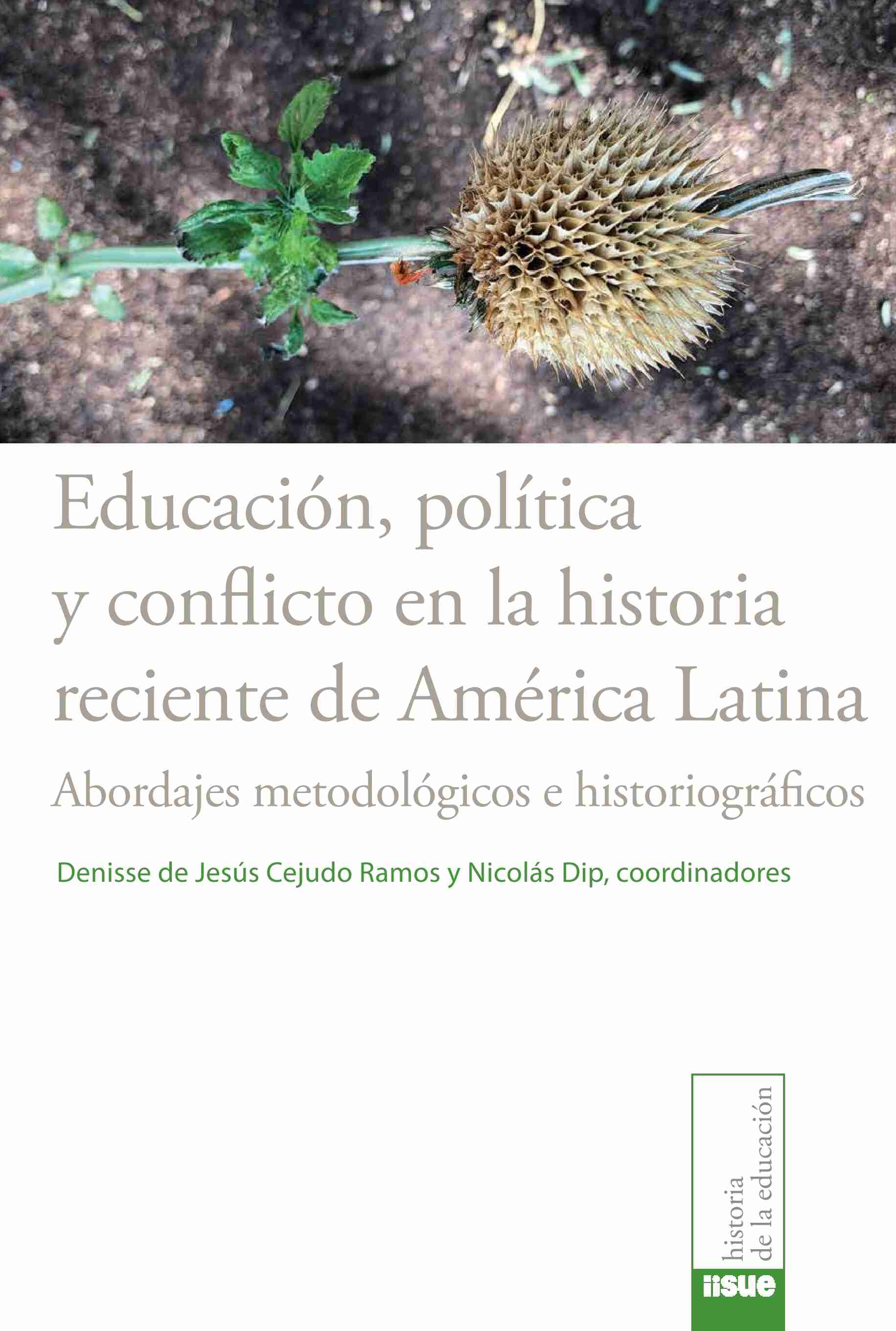 Educación, política y conflicto en la historia reciente de América Latina. Abordajes metodológicos e historiográficos