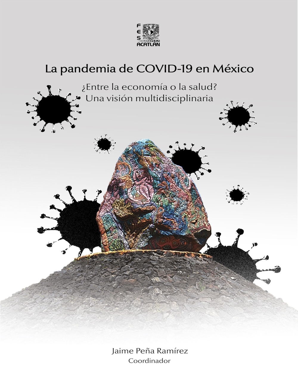 La pandemia de COVID-19 en México ¿Entre la economía o la salud? Una visión multidisciplinaria