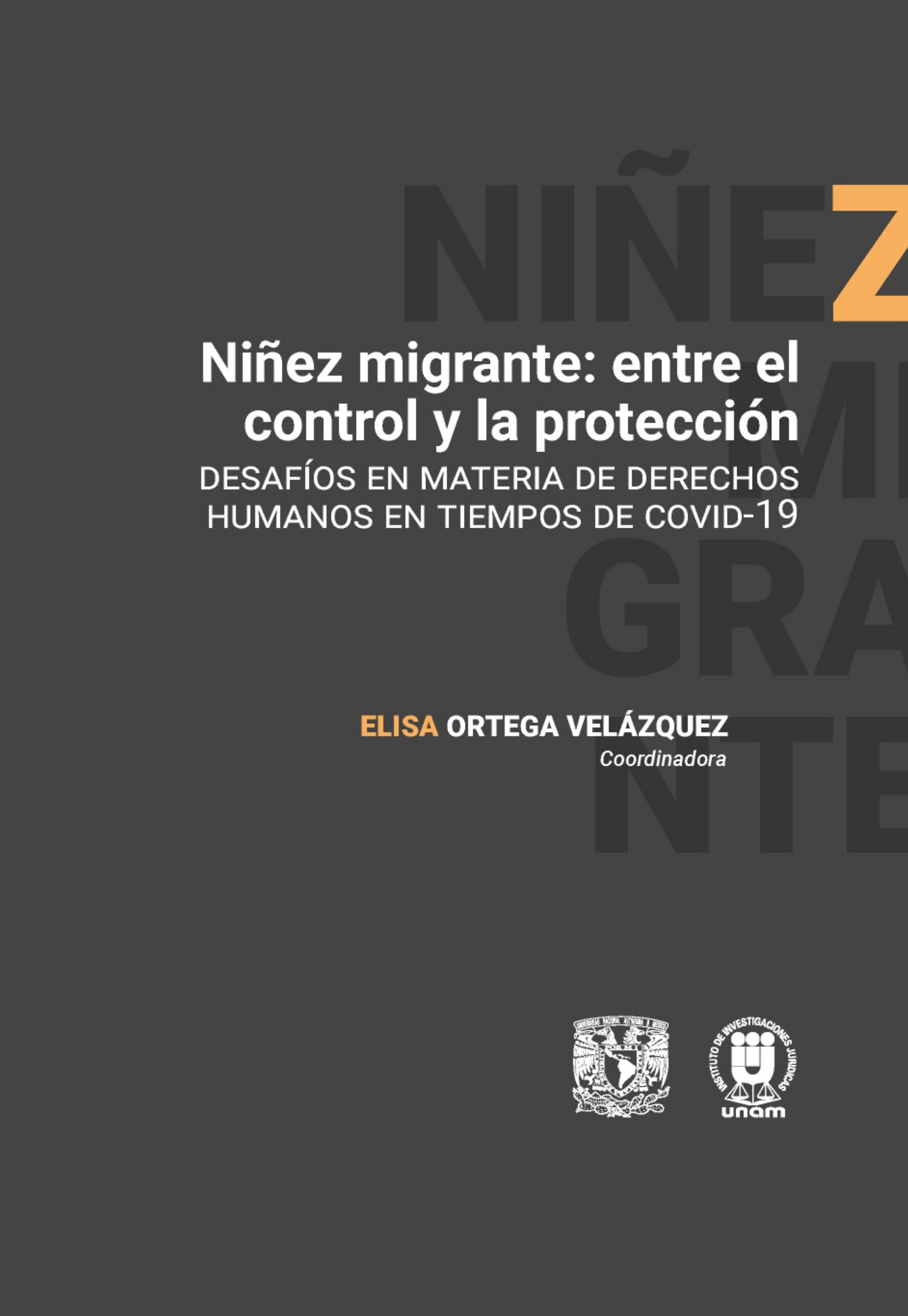 Niñez migrante: entre el control y la protección. Desafíos en materia de derechos humanos en tiempos de Covid 19