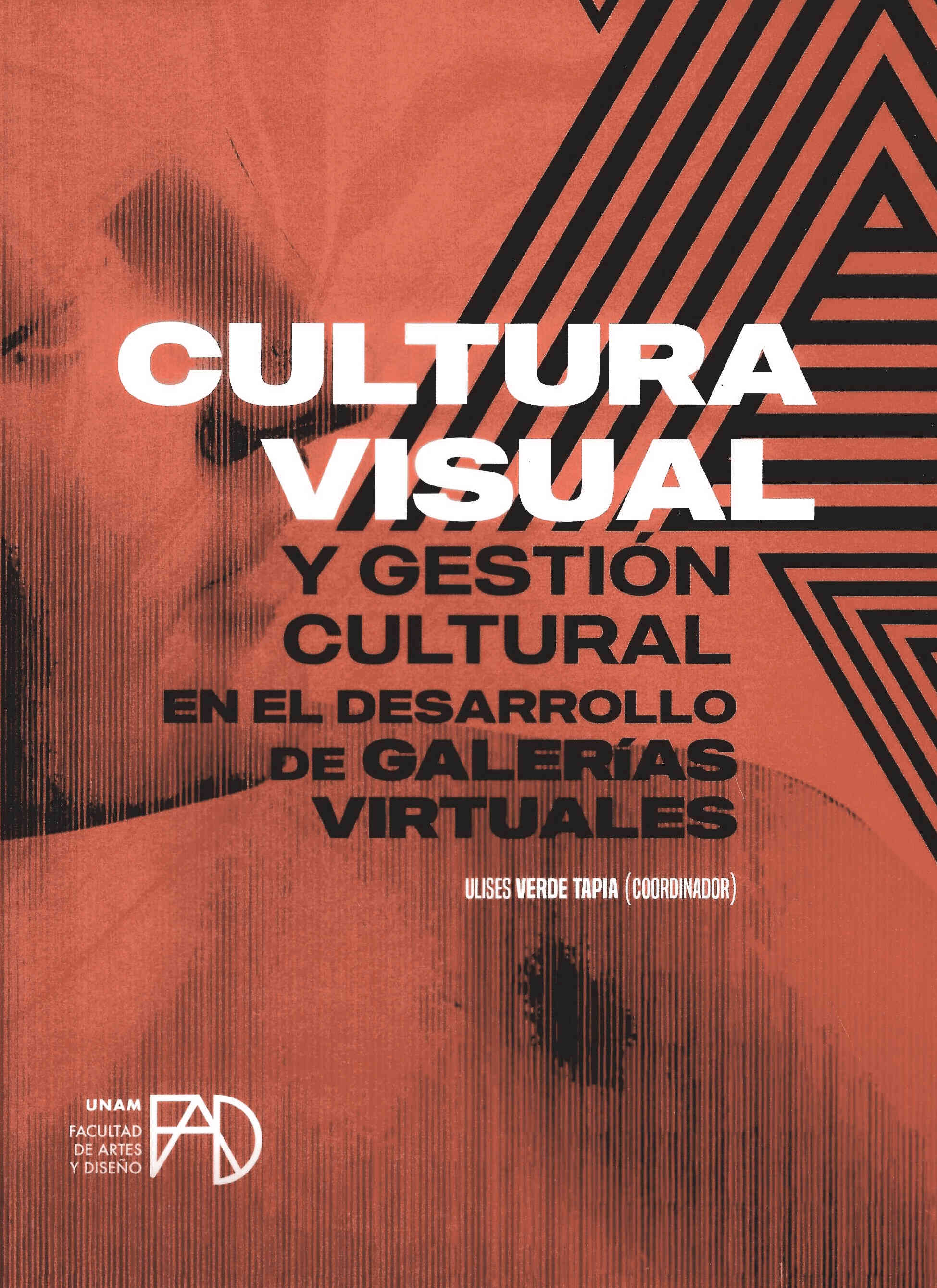 Cultura visual y gestión cultural en el desarrollo de galerías virtuales