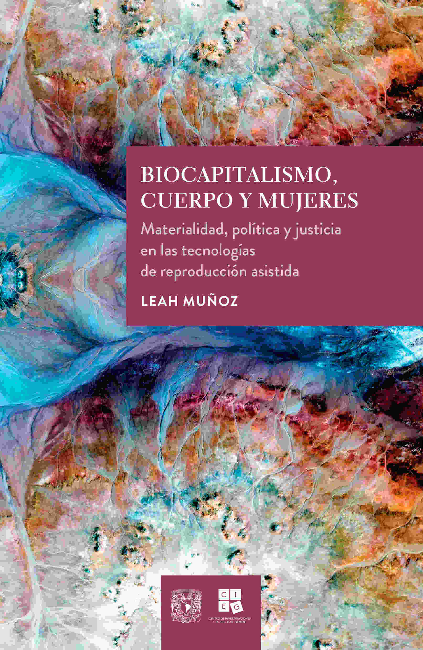 Biocapitalismo, cuerpo y mujeres. Materialidad, política y justicia en las tecnologías de reproducción asistida