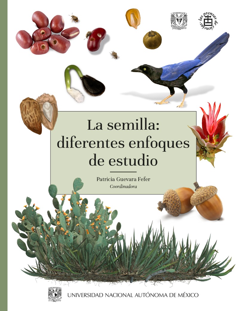 La semilla: diferentes enfoques de estudio
