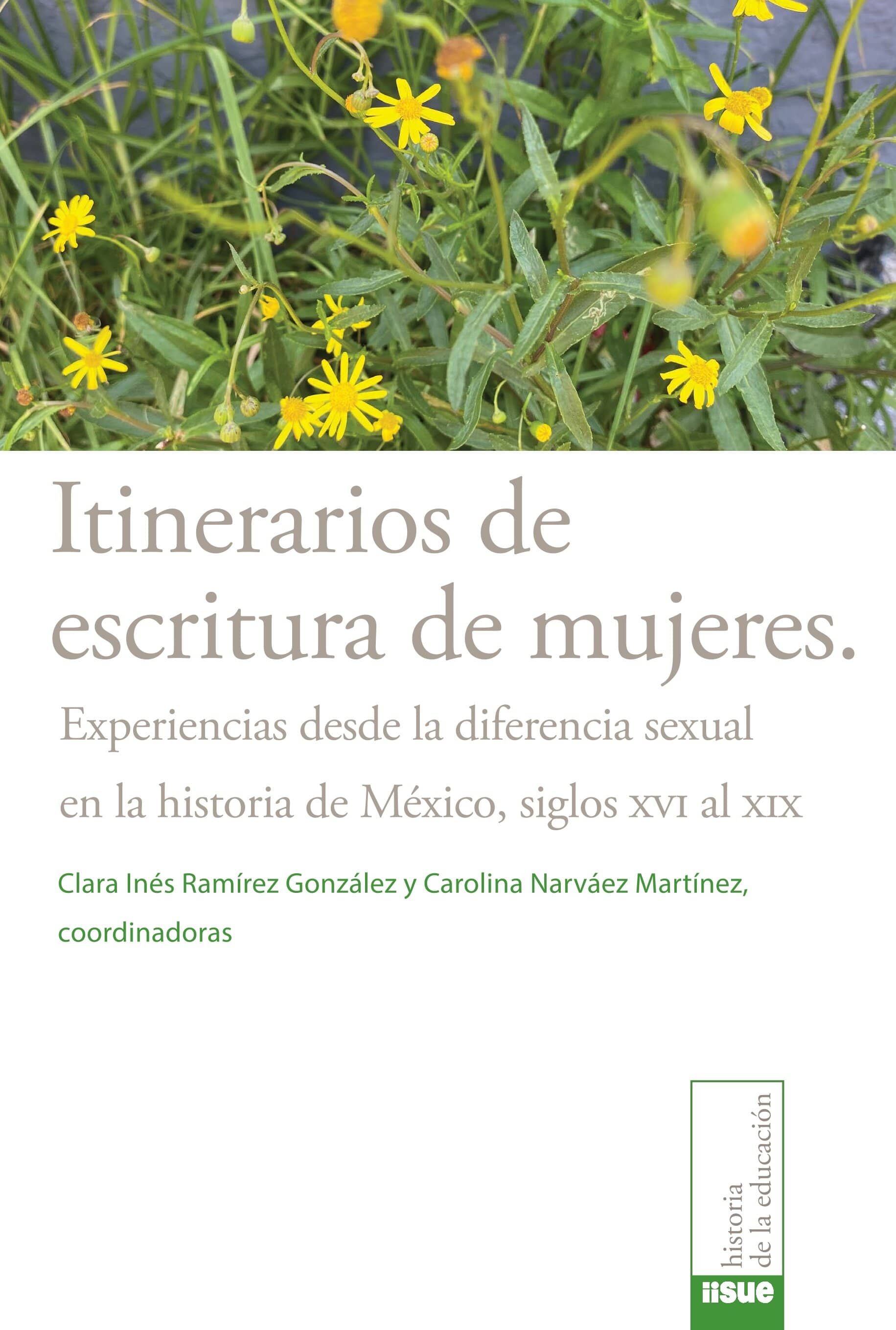 Itinerarios de escritura de mujeres. Experiencias desde la diferencia sexual en la historia de México, siglos XVI al XIX