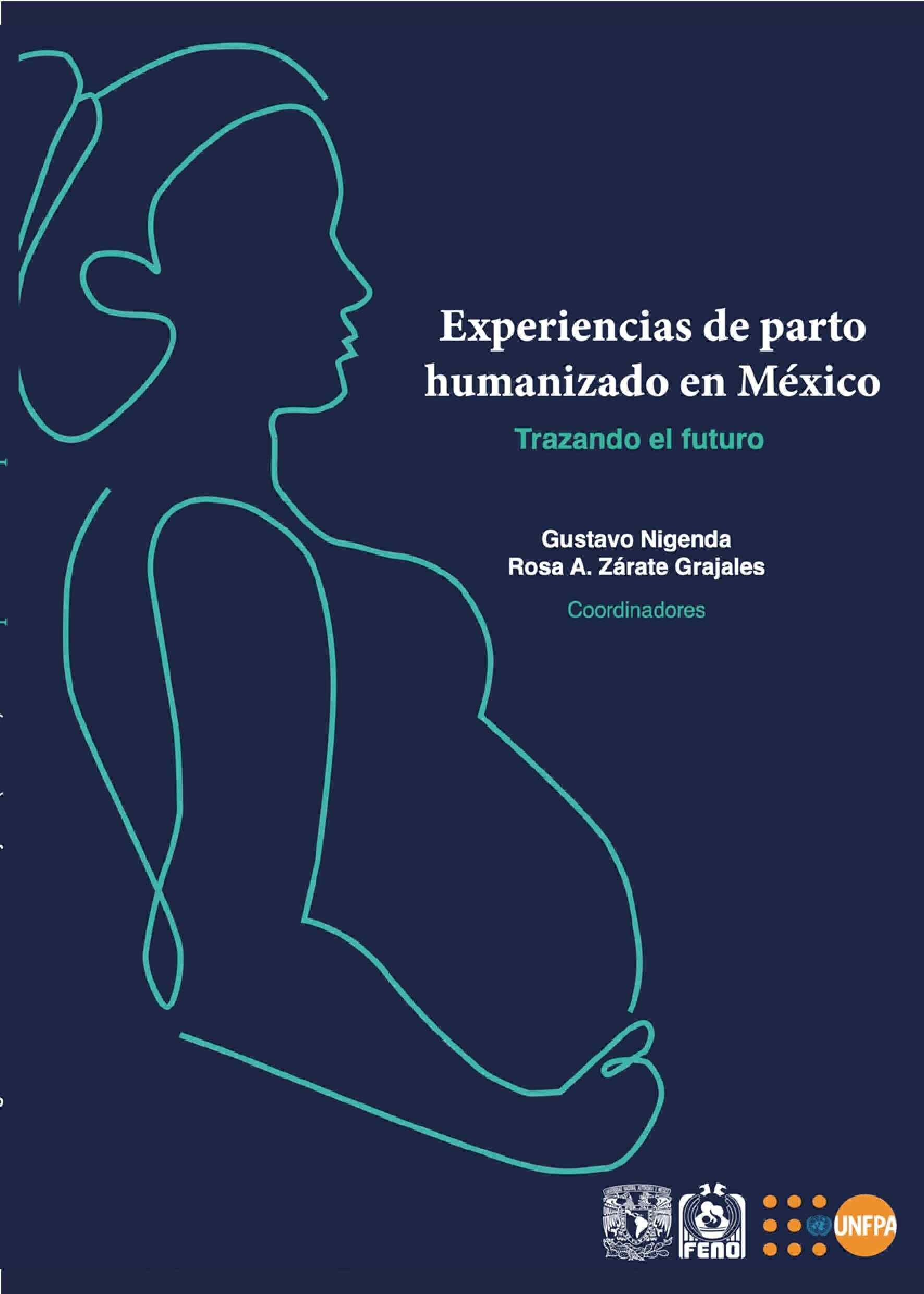 Experiencias de parto humanizado en México. Trazando el futuro