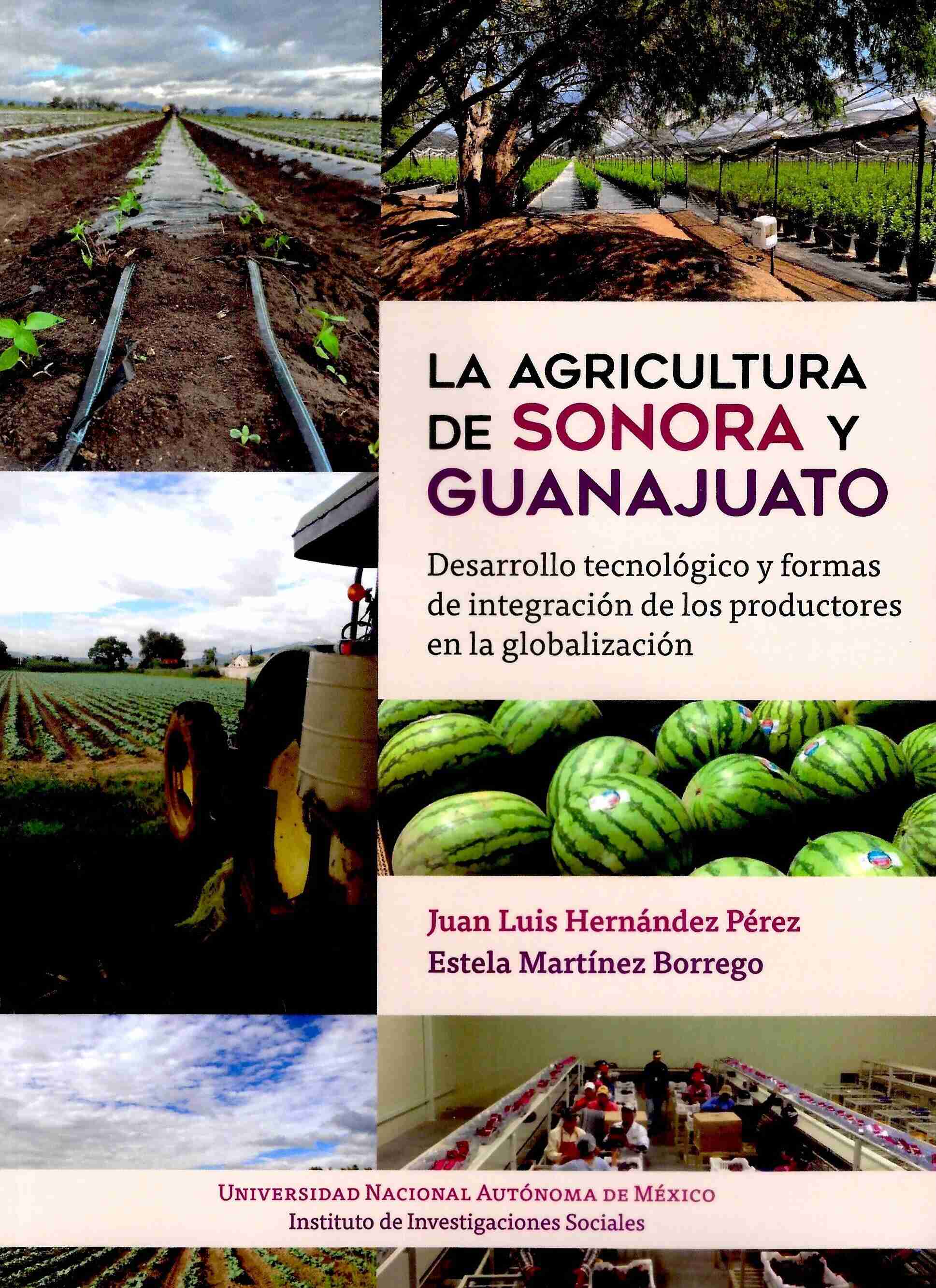 La agricultura de Sonora y Guanajuato. Desarrollo tecnológico y formas de integración de los product os en la globalización